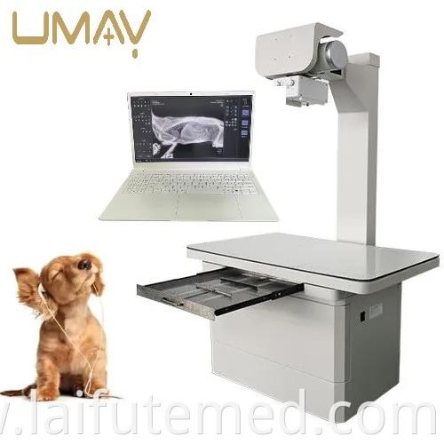 Advanced Veterinary Pet X Ray Machine for Diagnostic Imaging Needs